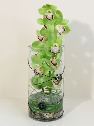 A Cymbidium Orchid Desktop Garden